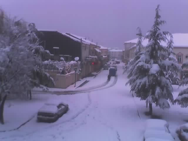 snow_1.jpg