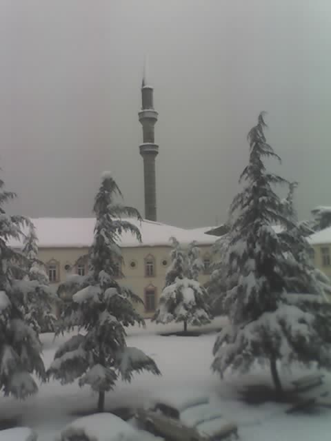 snow_2.jpg