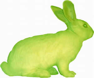 fluorescent_rabbit.jpg