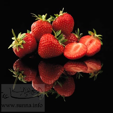 02h_ERDBEEREN.jpg