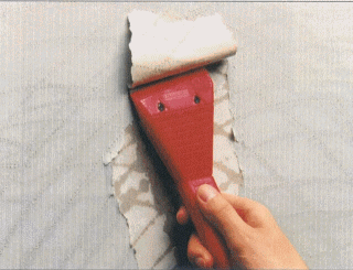 index.gif