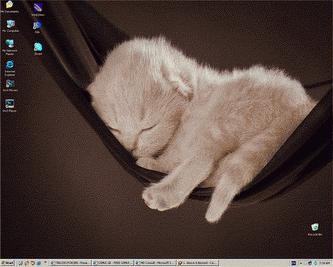 480.gif