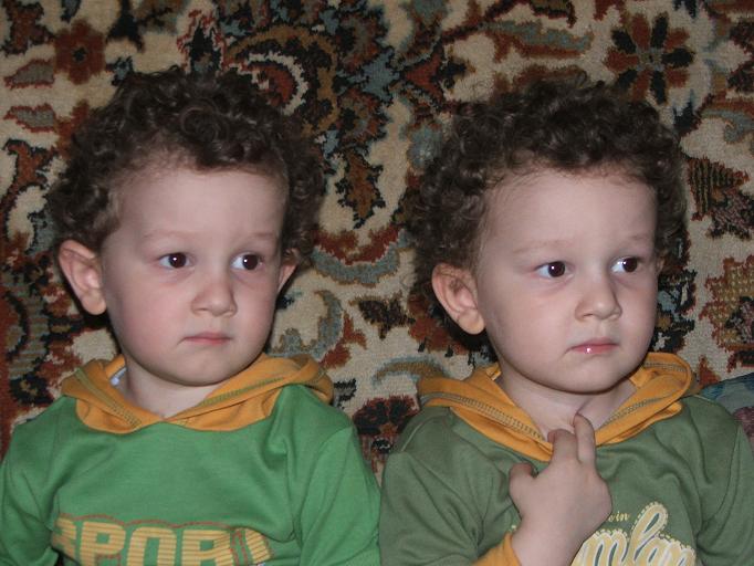 Twins2.JPG