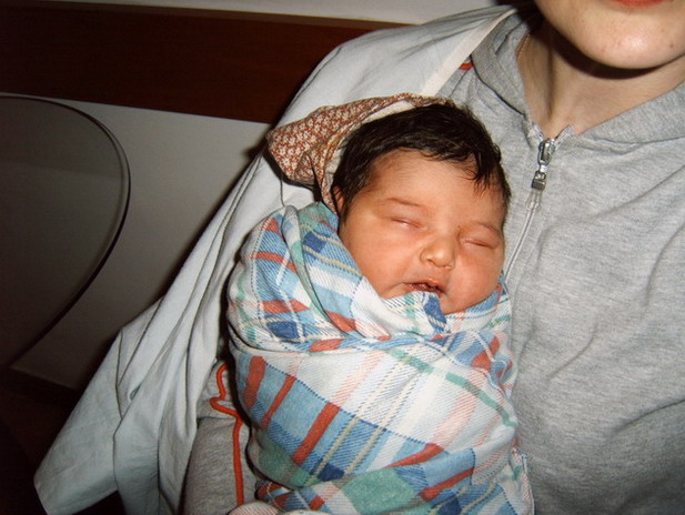 IMG00231.jpg