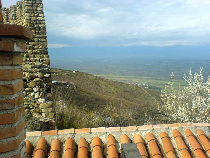 Alaznis_Veli_04.jpg