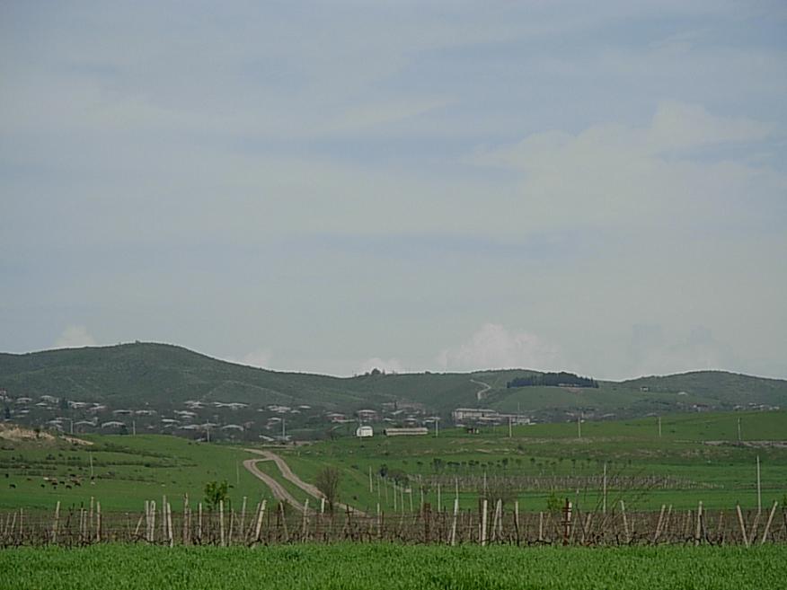 DSCN1732.JPG
