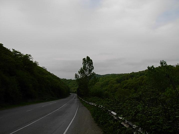 fvf.JPG