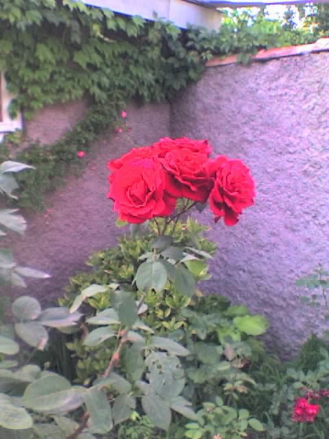 17_06_07_1825.jpg