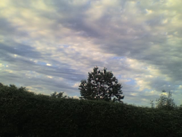 17_06_07_1905.jpg
