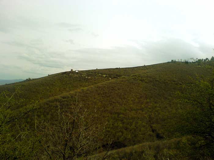 SiRnaRi_02.jpg
