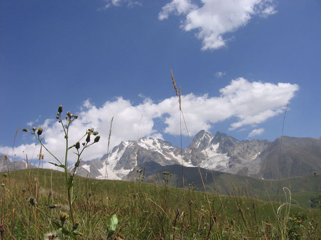 img3945nk7.jpg