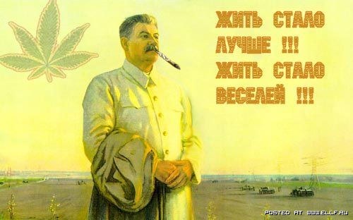 26_pics_ziza.jpg