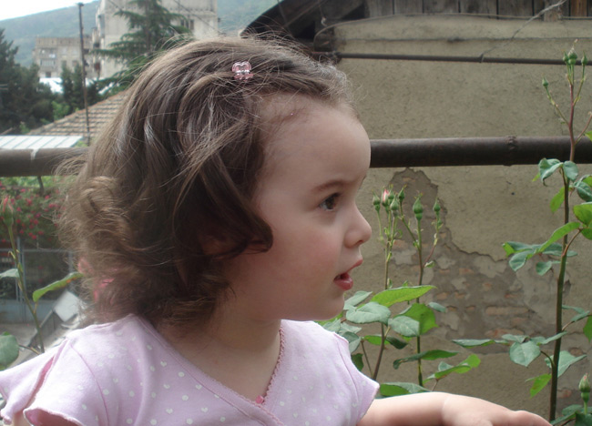 DSC00516.jpg