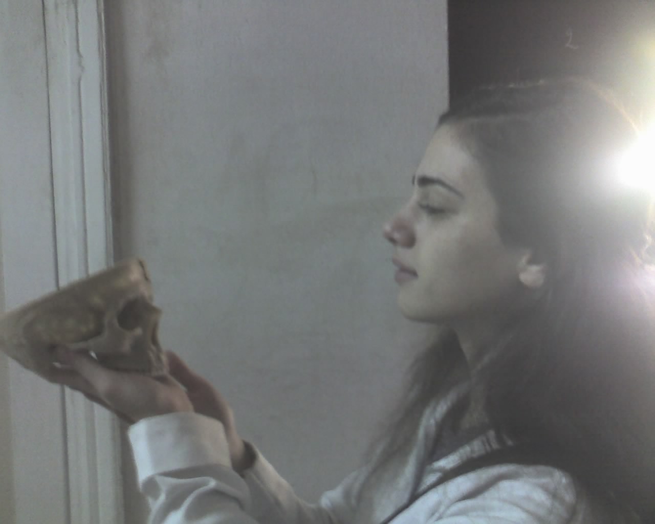 img340.jpg