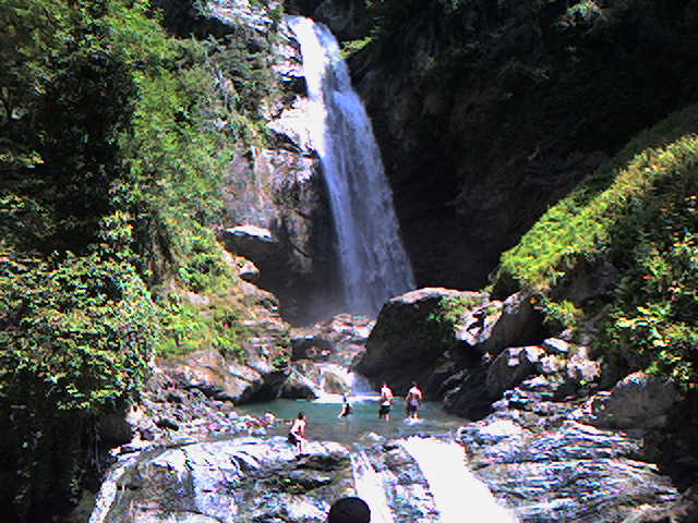 Photo_0009_3_.jpg