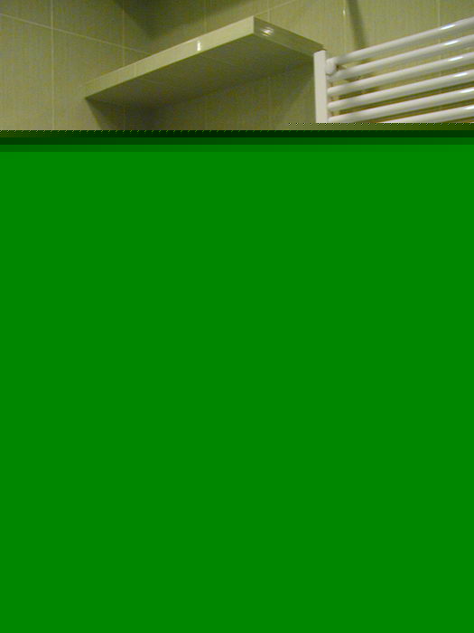 P8040217v1.jpg