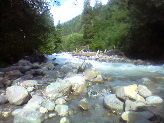 Photo_0171.jpg
