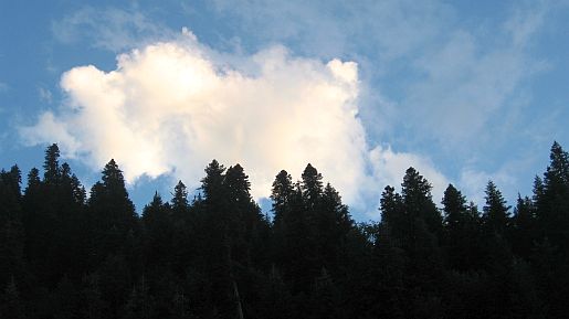 IMG_2382.jpg
