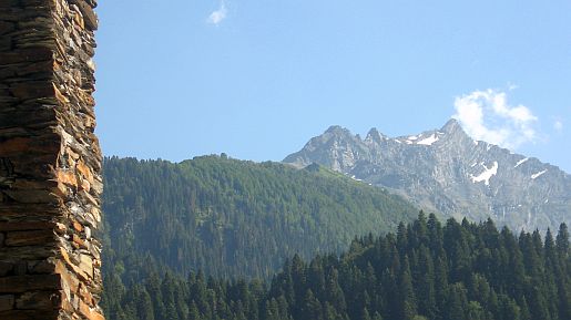 IMG_2255.jpg