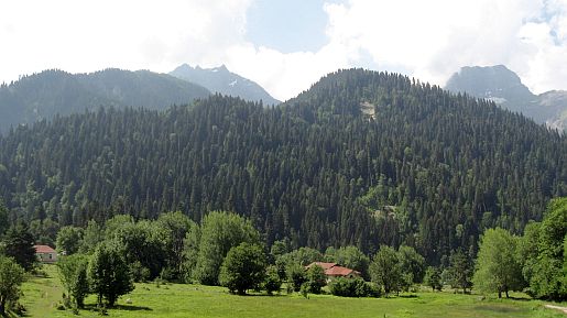 IMG_2342.jpg