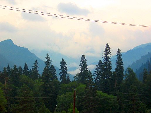 IMG_2325.jpg