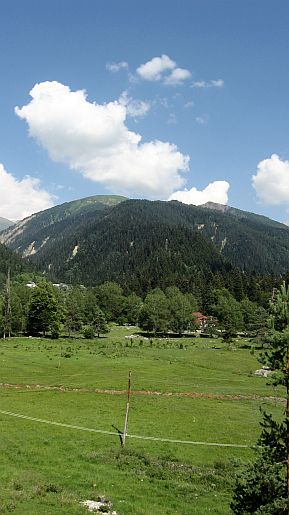 IMG_2248.jpg