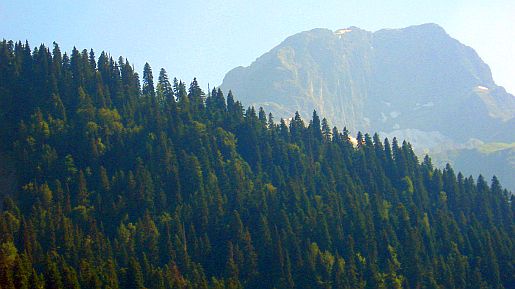 IMG_2254.jpg
