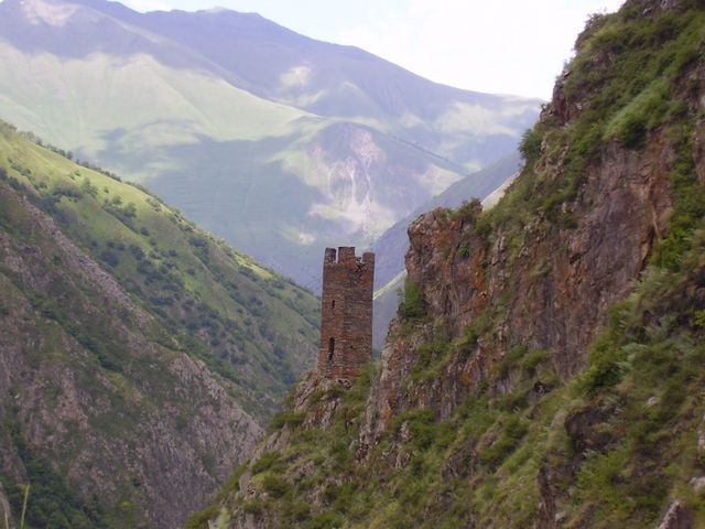 p7080028bz8.jpg