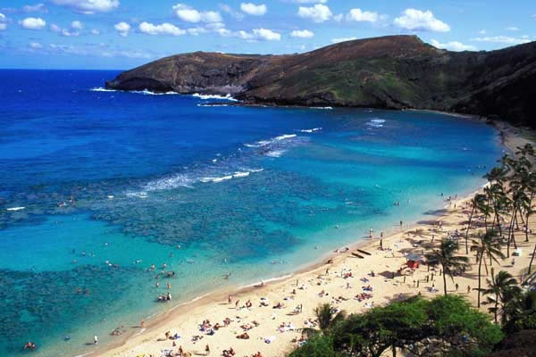 hawaii_beach.jpg