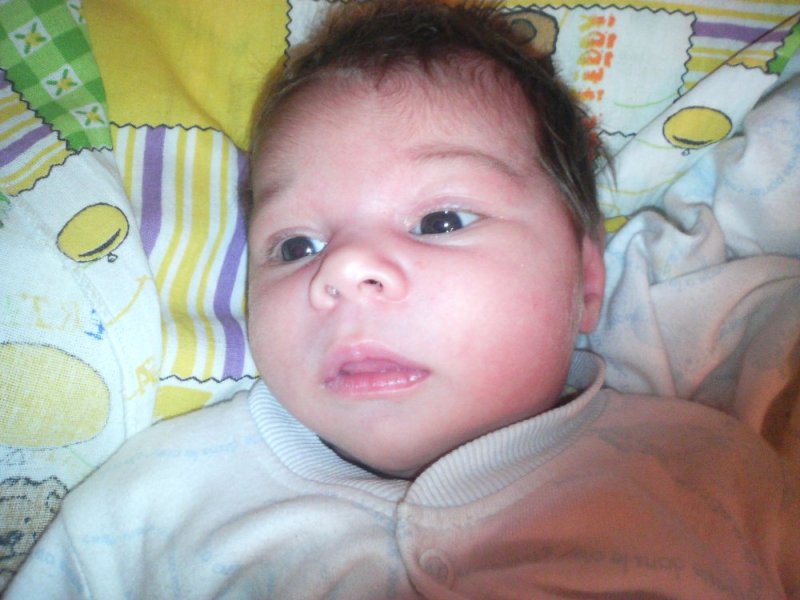 Image376.jpg