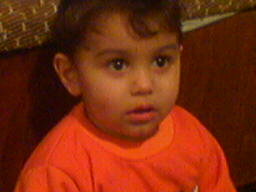 Picture_023.jpg