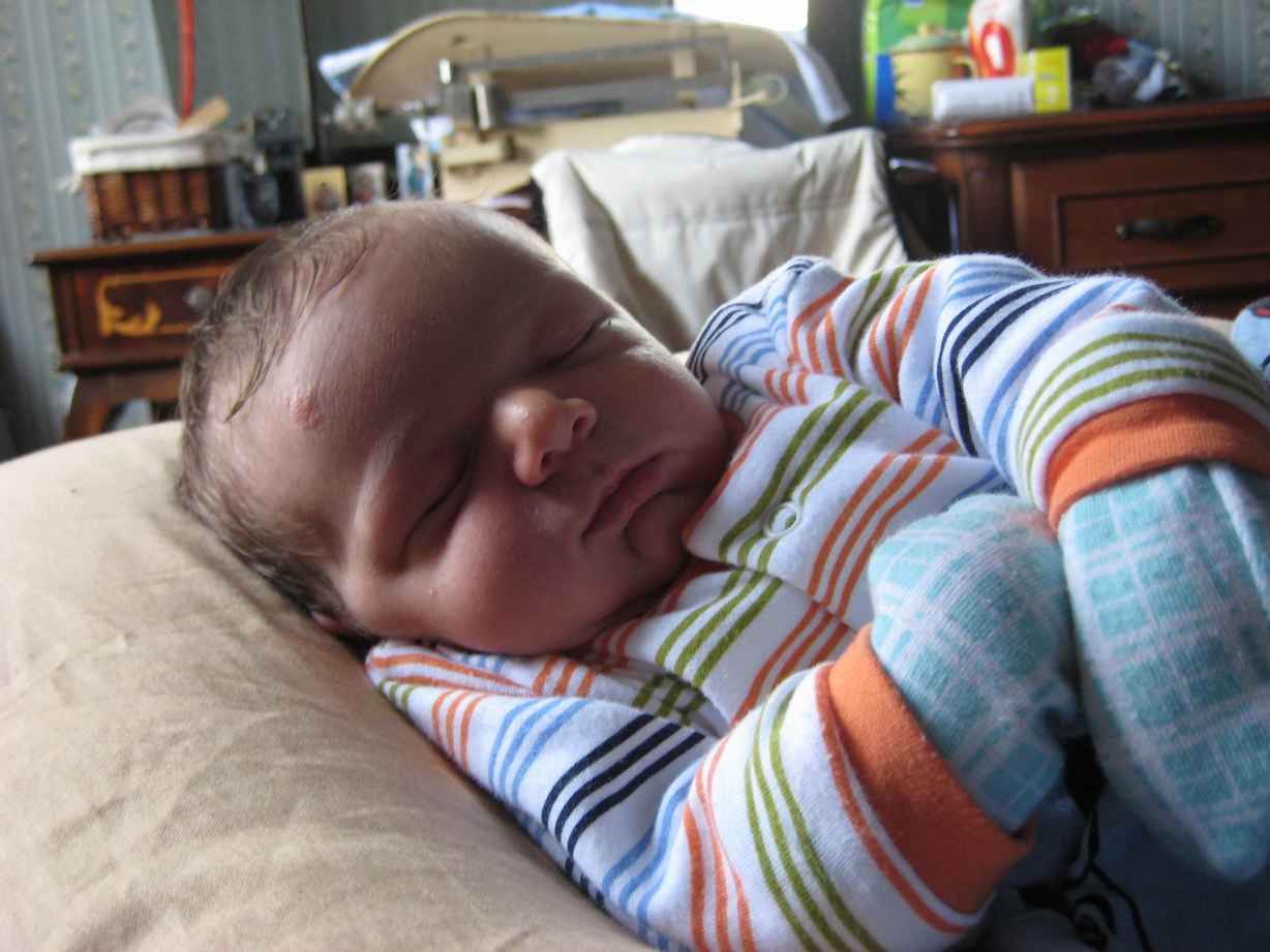 IMG_0281_thumb.jpg