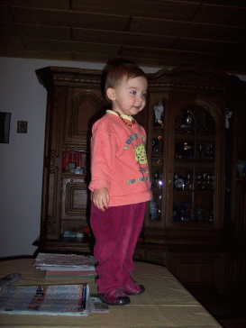 firum.ge_391.gif