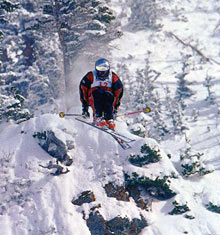 snowbird.jpg