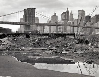 raphaelson.wildernes.ny.jpg