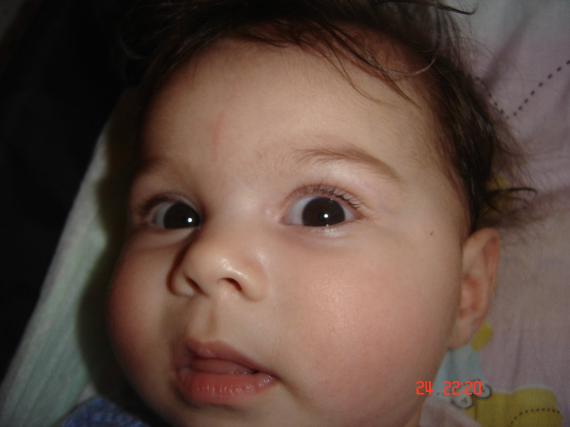 DSC01297.JPG