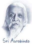 pondi_auro.jpg