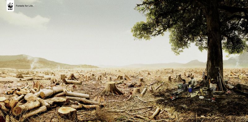 031_wwf_reklama.jpg