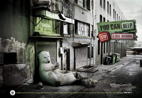 WWFPOLARBEAR_preview.jpg