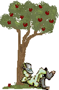 daraji.gif