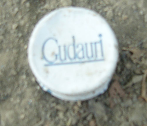 Gudauriii.jpg