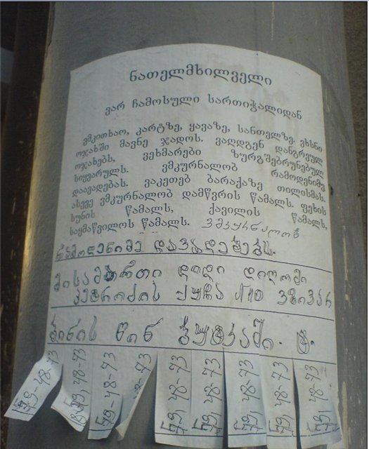 1e7ed95510bb.jpg