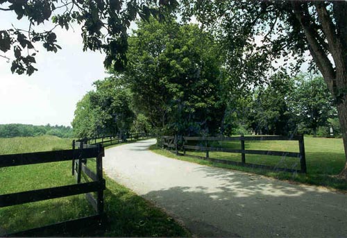 driveway.jpg