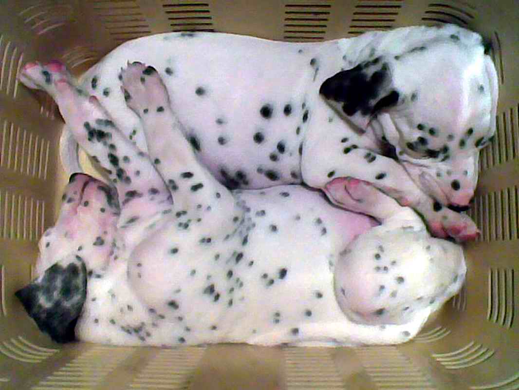 Image003_.jpg