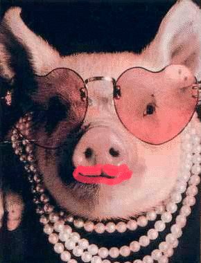 pigmsn_messenger_kissing_pig_virus_still_on_the_web_2.jpg