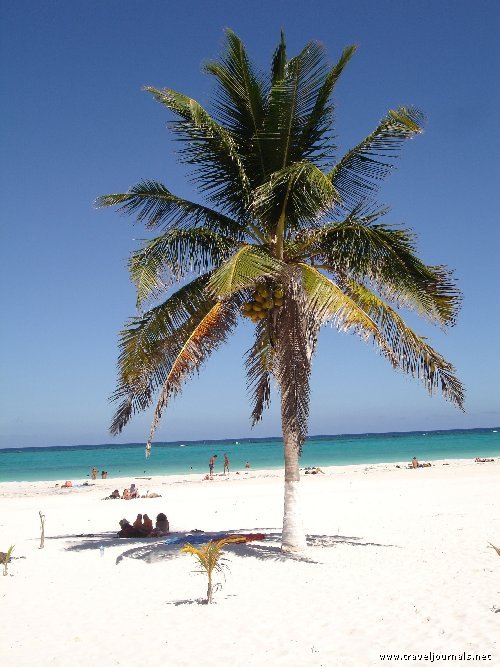 82694_the_carribean_coast___bueno_tulum_mexico.jpg