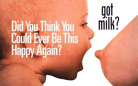 milk.jpg