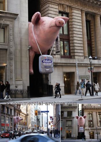 glidepigsmall.thumbnail.jpg