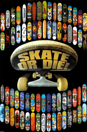 skate_or_die.jpg