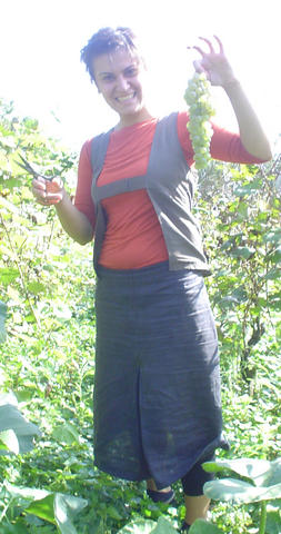 e460.jpg